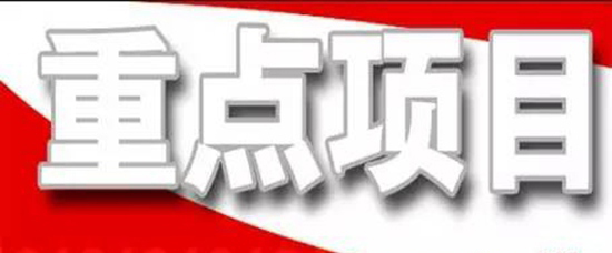 抓住项目不放松---王勤光到乐鱼app官方在线入口集团调研重点项目情况
