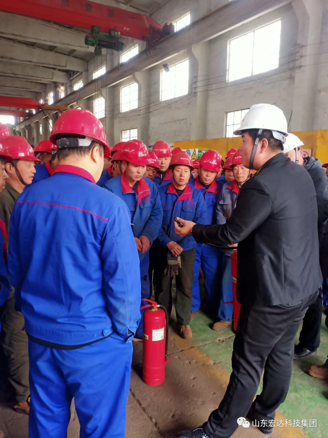 乐鱼app官方在线入口集团